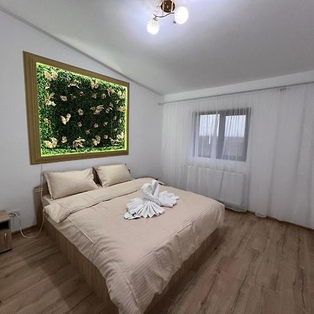 באלוטשטי Casa Privata Airport Bucharest Therme Bucharest מראה חיצוני תמונה